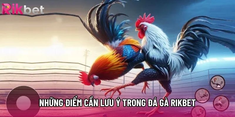 Những điểm cần lưu ý trong đá gà rikbet
